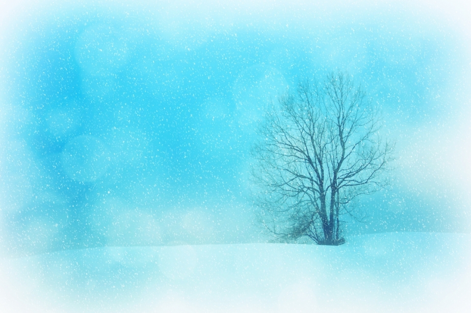 蓝色背景雪中枯树创意插画