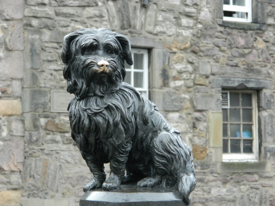 街头上狗狗造型的精美雕像