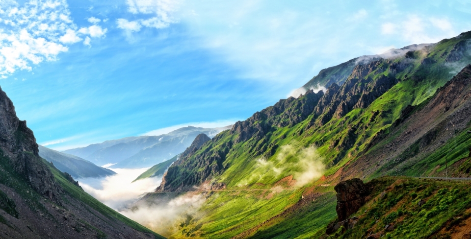 晴朗天空大自然山坡绿色植物光照美景