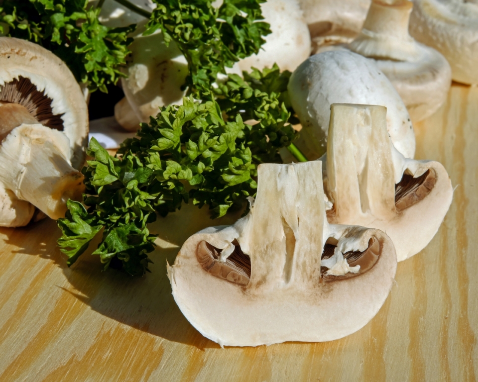 厨房木桌白色蘑菇切片绿色香芹