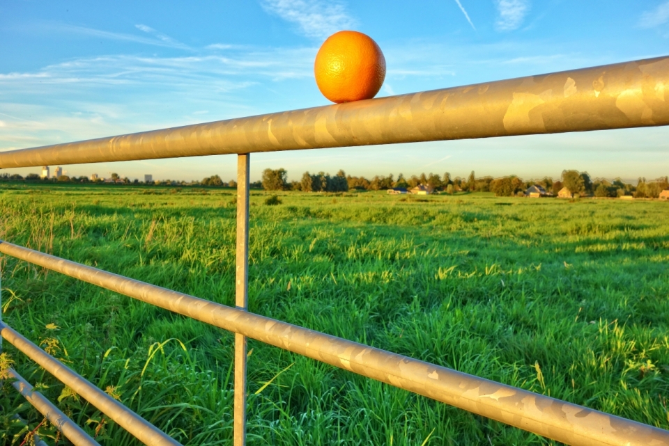 牧场平原护栏上的橙子光影摄影