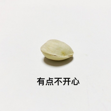 唯美搞笑表情包图片