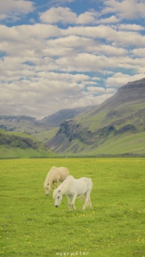 唯美清新春天风景写真图片
