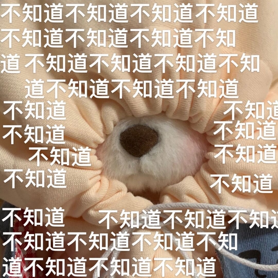 莉娜熊表情包图片