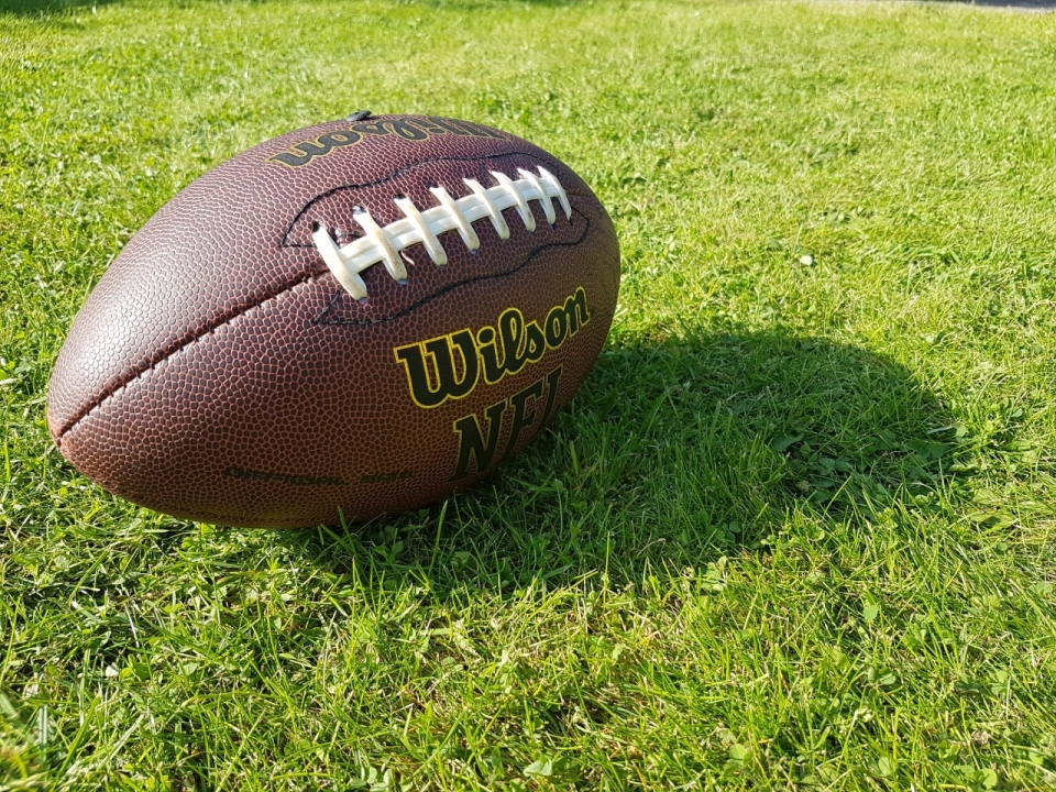 明媚阳光绿色草坪上的橄榄球静物摄影