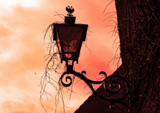 火红天空房屋路灯环绕藤蔓植物光影