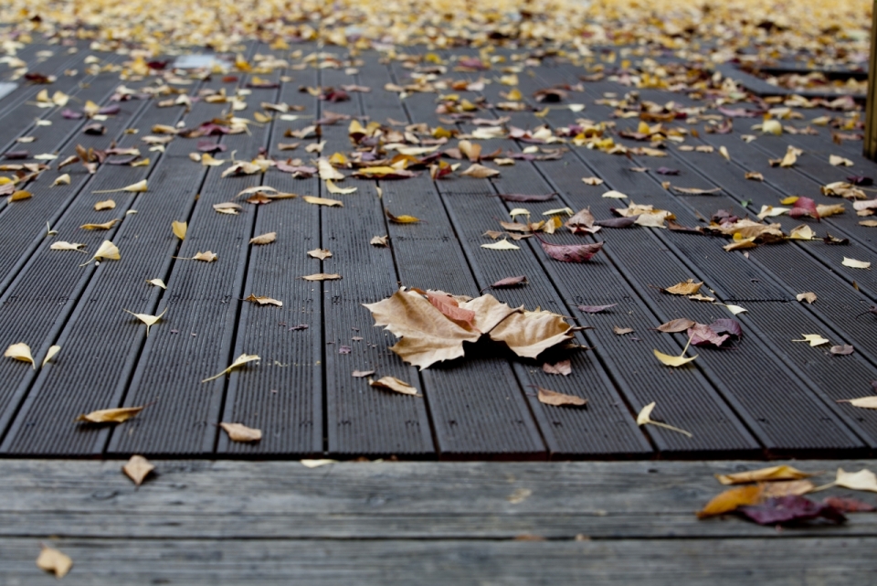 秋天木质地板上落叶风景