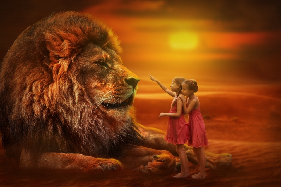 夕阳下的卧狮与玩耍的小女孩