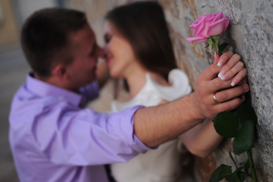 灰色墙壁前牵手亲吻拿粉色花朵植物情侣