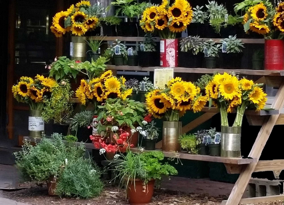 花店鲜花唯美高清桌面壁纸