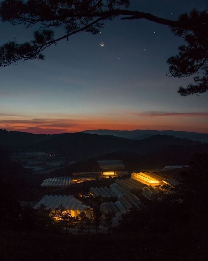 唯美城市黑夜图片