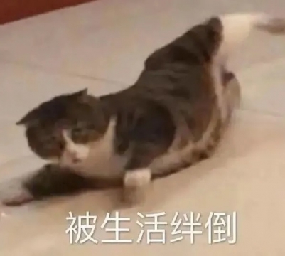 唯美搞笑表情包图片