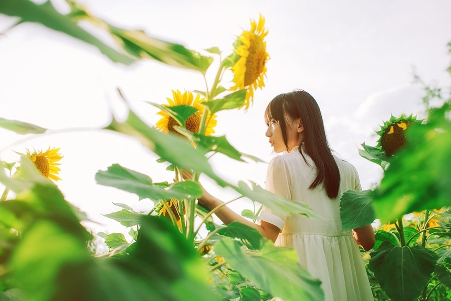 向日葵小清新日系美女高清写真