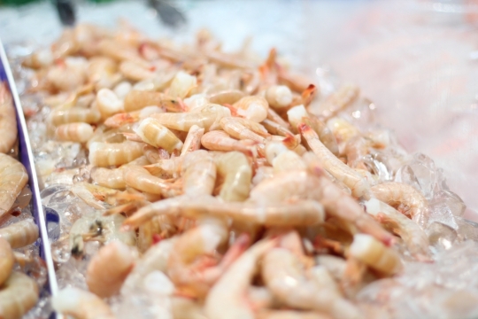 虚化背景冰柜储存腌制鲜虾美食