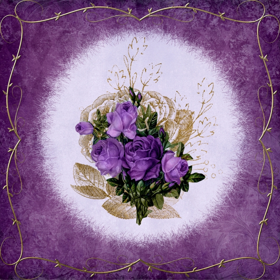 紫色背景下紫玫瑰手绘