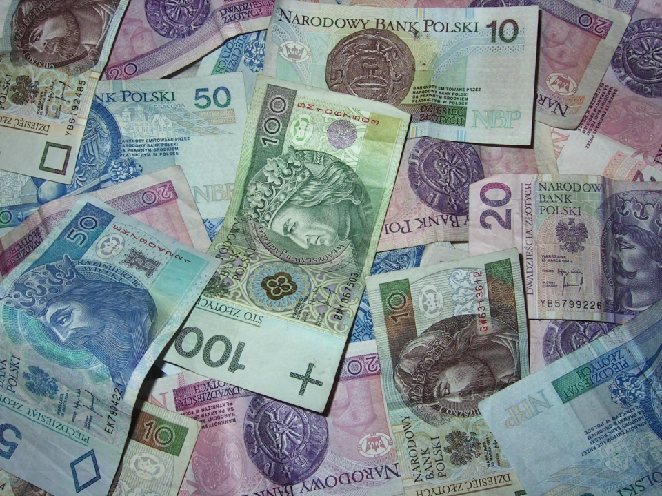 波兰兹罗提彩色不同面值纸币货币