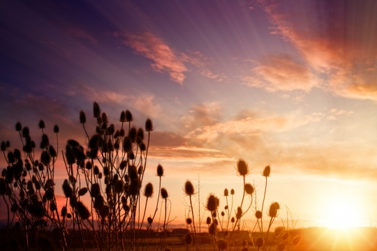 傍晚绚丽阳光天空下自然户外