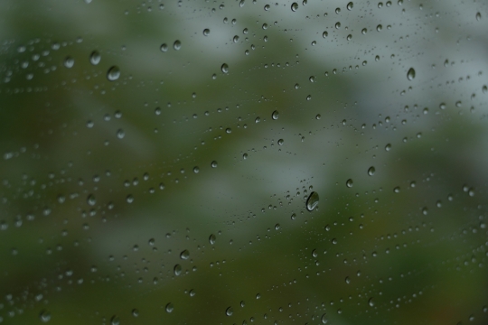 阴雨季节室内窗户水珠高清特写