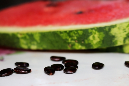 白色桌面新鲜西瓜切片黑色西瓜子