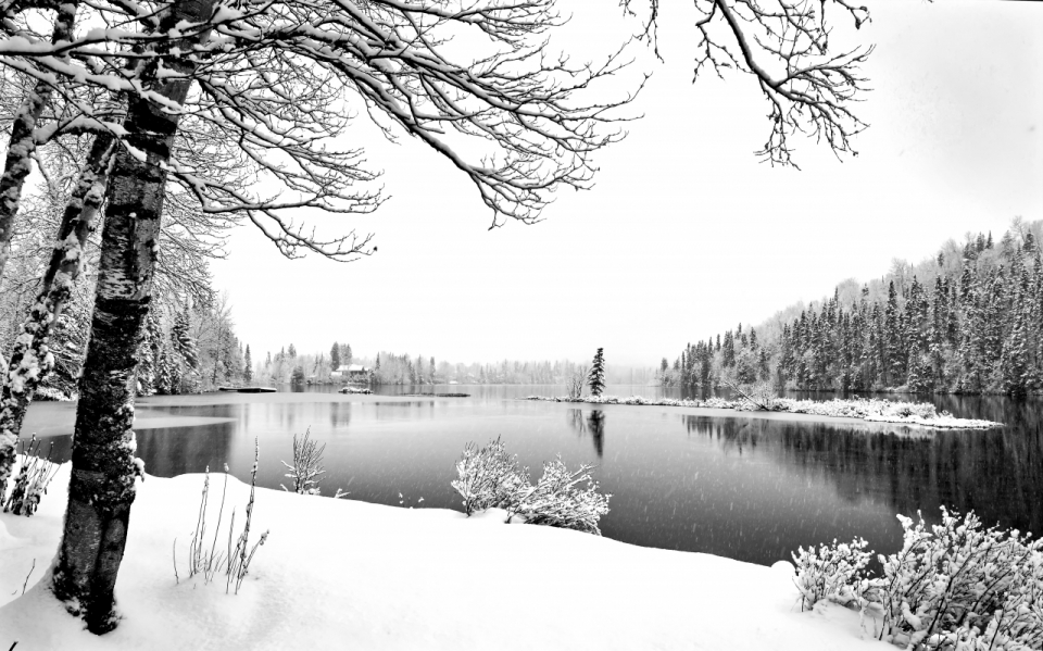 风景摄影_冬季湖边积雪白色风光美景