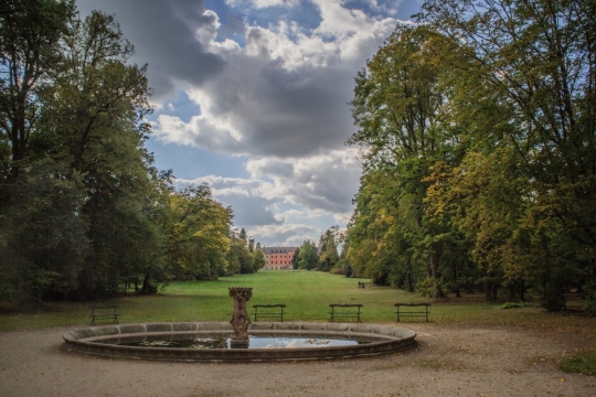 风光摄影_城市森林公园植物喷泉风光