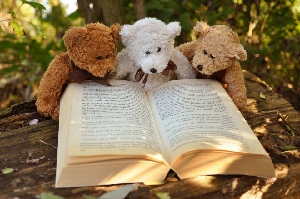 在木头上翻开的书本和三个玩具小熊