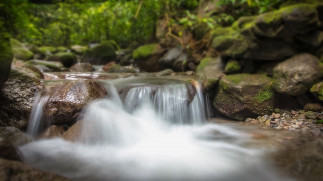 唯美清新绿色自然风光高清桌面壁纸