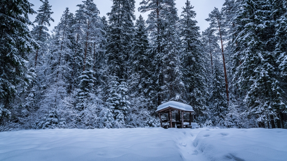 唯美冬季雪景自然风光高清桌面壁纸