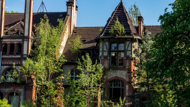 幽静树林深处欧式古堡建筑风光