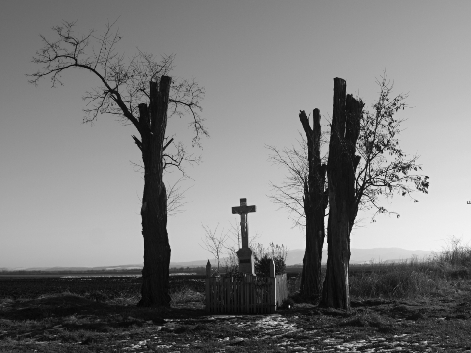 荒漠上一座被枯树围着的十字架坟墓
