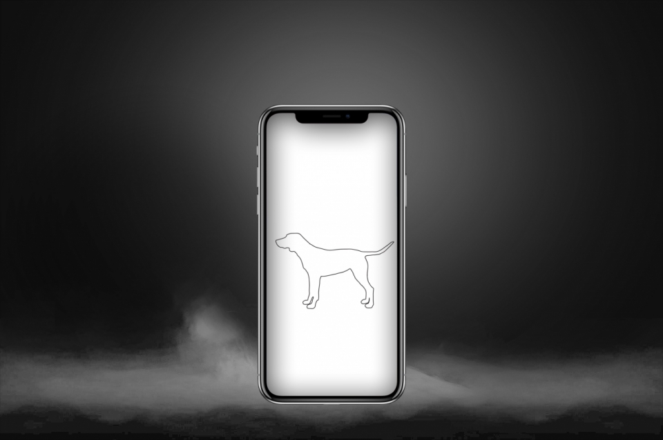 屏幕上印着狗狗图片的iPhonex