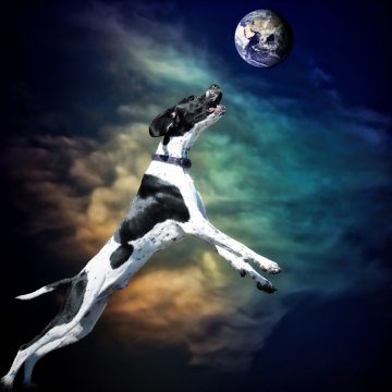 天狗食月创意思路摄影