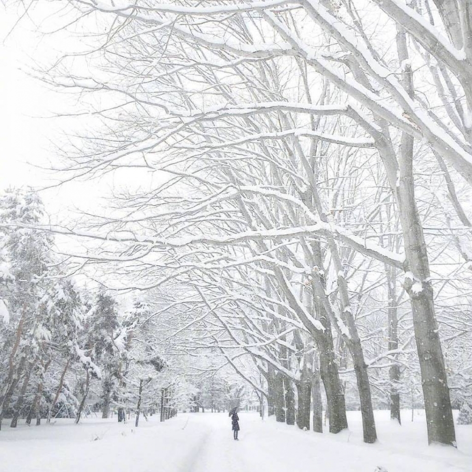 唯美雪景风景写真图片