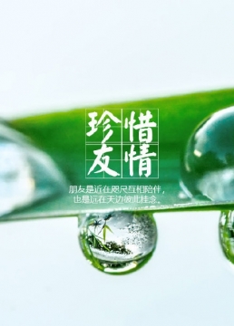 2021年四月愚人节清明节文案