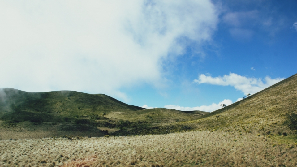 青黄色草地山坡风光美景