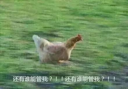 幽默搞笑表情包图片