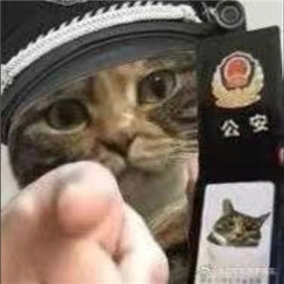 小猫咪警察搞笑表情包图片