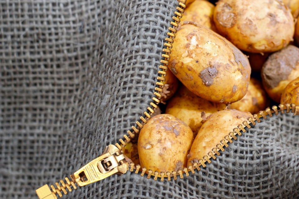拉开拉链的袋子里满满的全是马铃薯