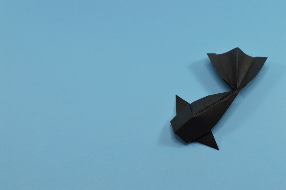 蓝色背景黑色艺术创意鱼折纸