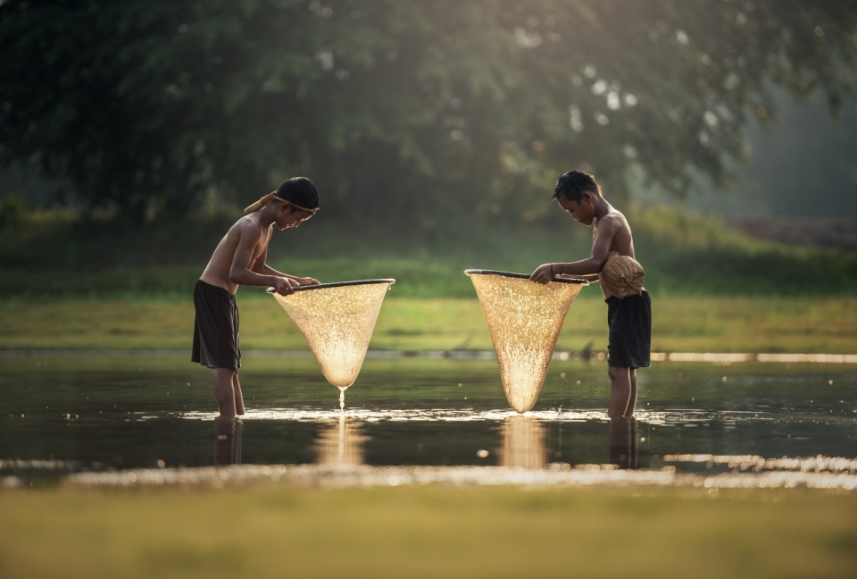 两个小男孩在河中用网捕鱼