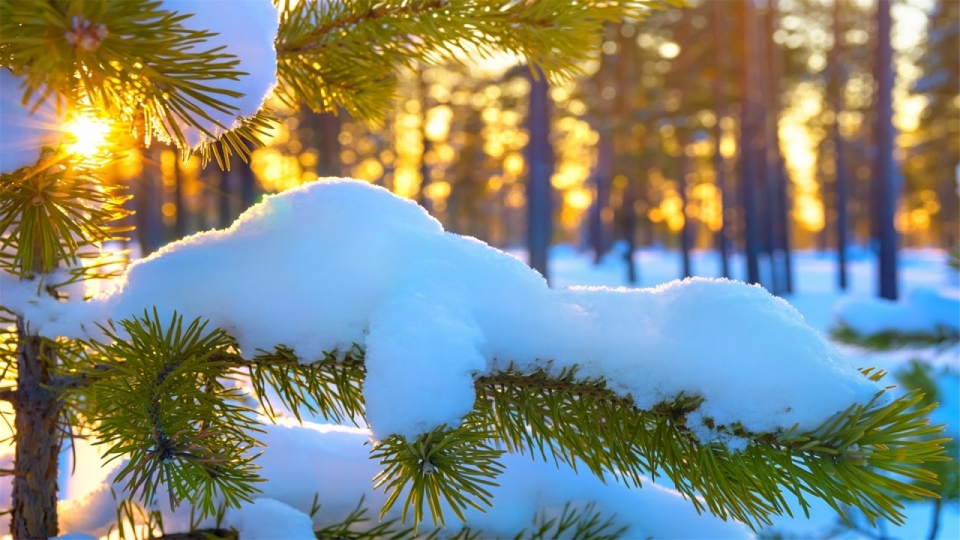 唯美冬日雪景风景自然高清桌面壁纸