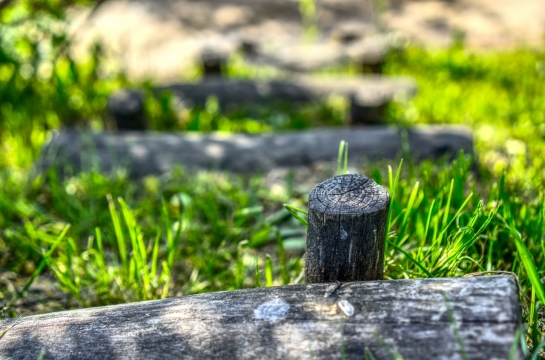 河边草地斜坡矗立木桩阶梯特写
