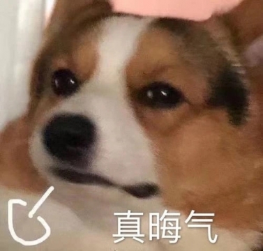 搞笑幽默表情包图片