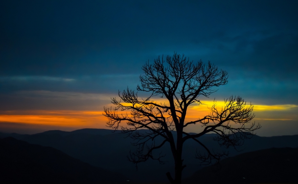 昏暗傍晚夕阳山峰树木剪影