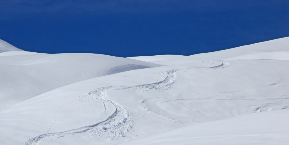 洁白雪山积雪表面蜿蜒爬行痕迹