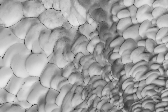 泥土黑白密集已经性冷淡风