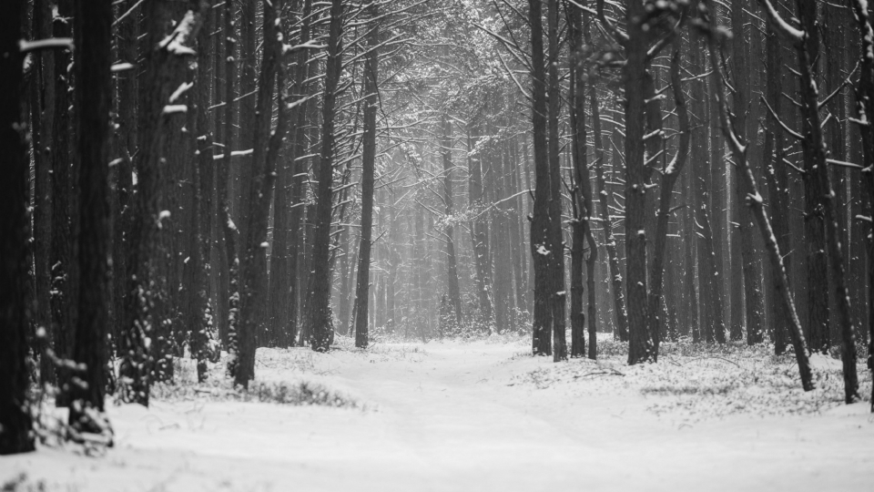 唯美冬季雪景自然风光高清桌面壁纸