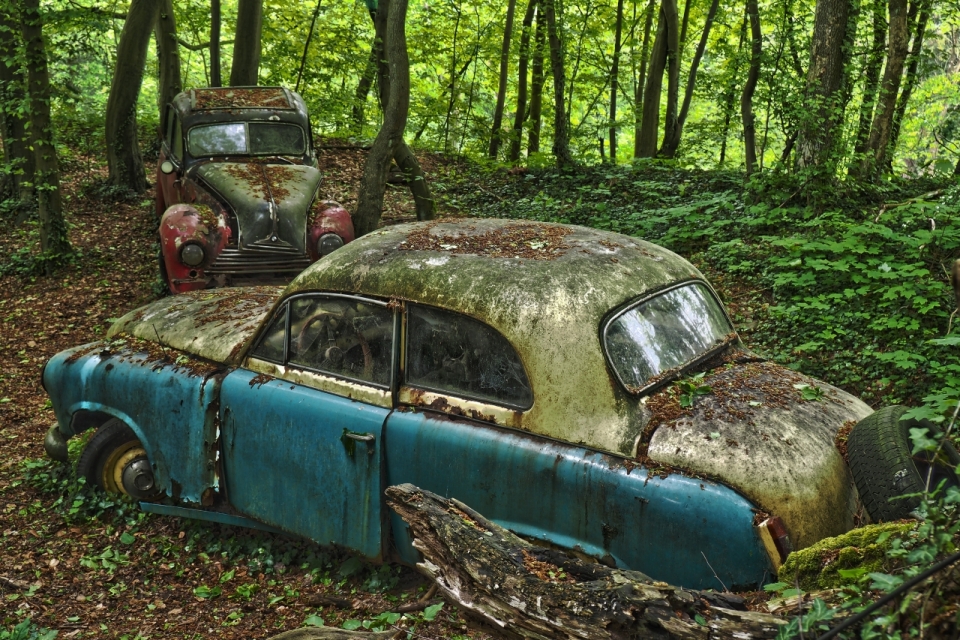 自然森林废弃蓝色红色古老轿车