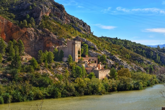 高耸山坡茂密树林植物古迹建筑