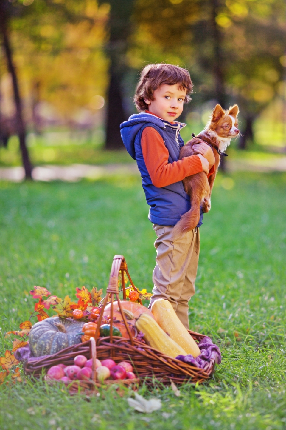 背景虚化抱着宠物狗的小男孩温馨摄影